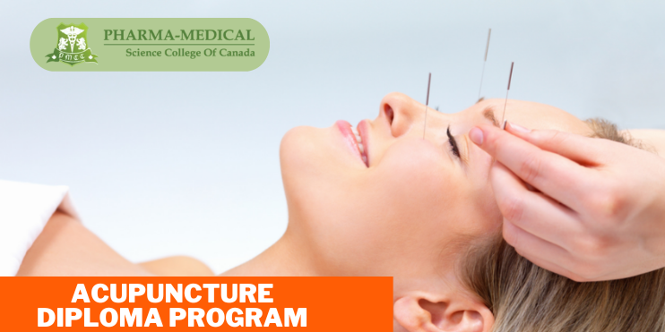 Acupuncture Diploma Program